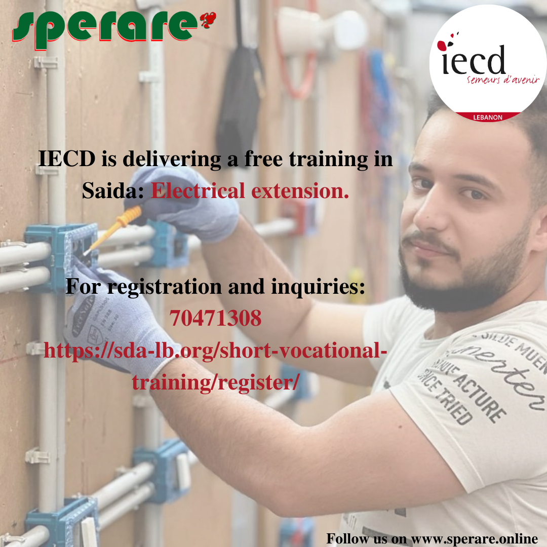 Electrical extension